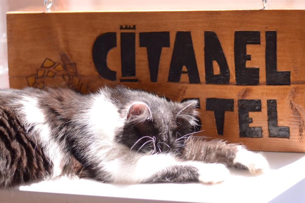Citadel Hostel Alba Iulia Dış mekan fotoğraf